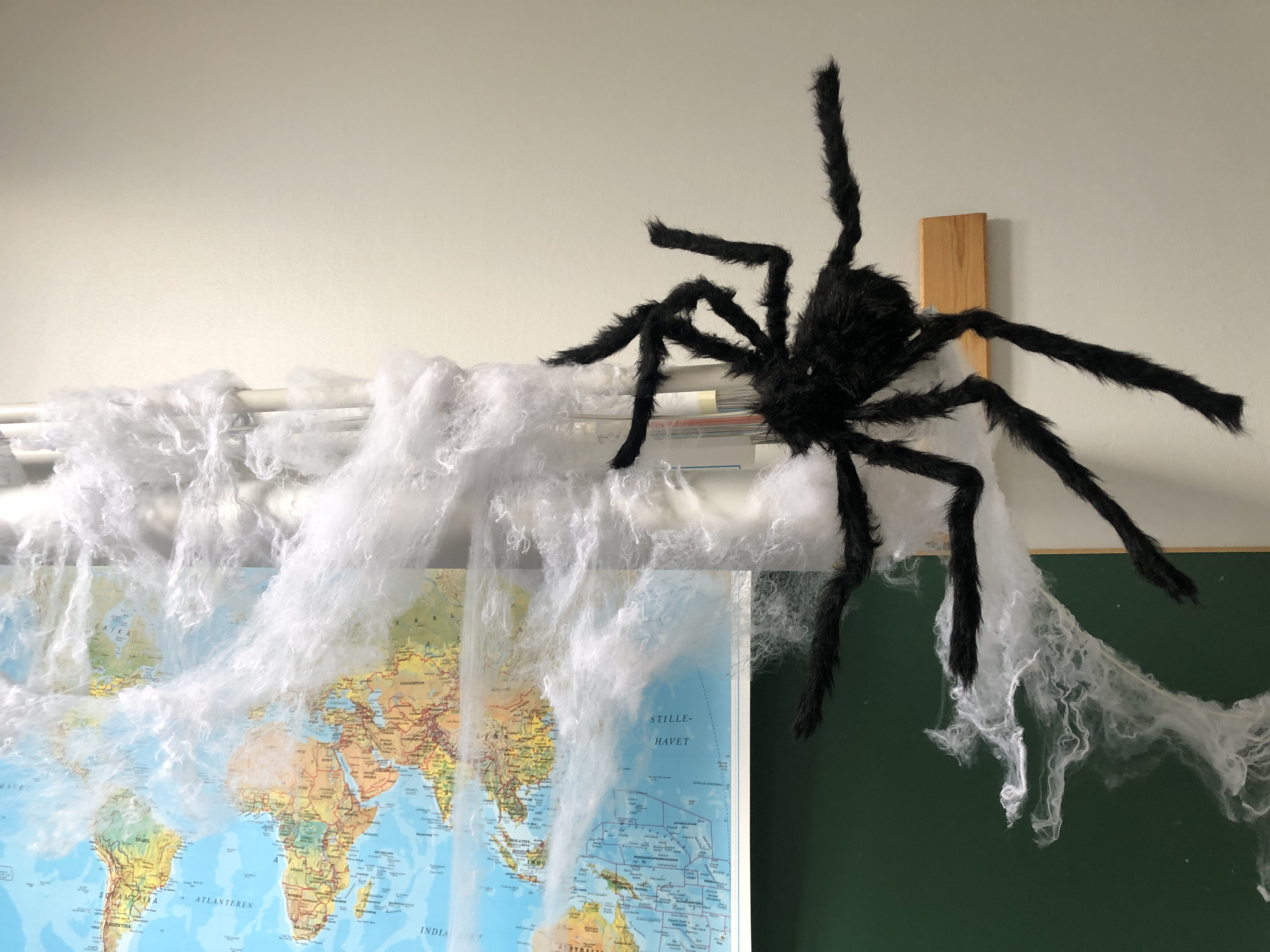 en edderkopp på et kart