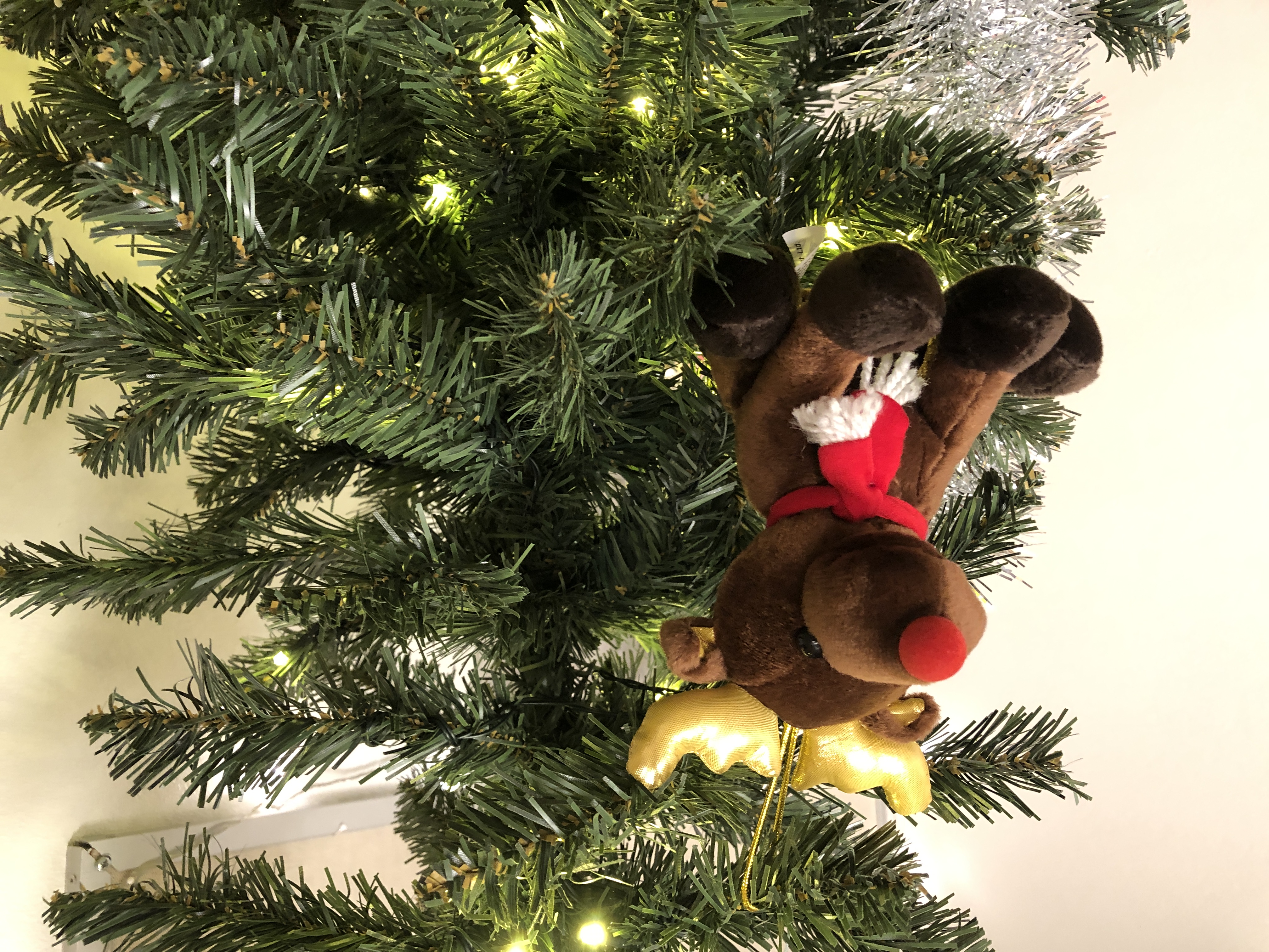 en utstoppet bjørn på et tre