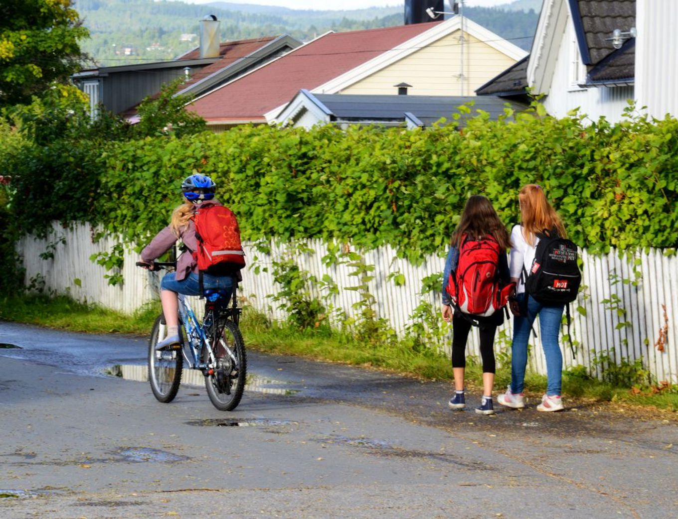 Foto: Knut Opheim, Statens Vegvesen en person som sykler